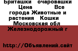 Бриташки - очаровашки.  › Цена ­ 3 000 - Все города Животные и растения » Кошки   . Московская обл.,Железнодорожный г.